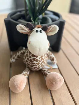 בובה קטנה - אייל